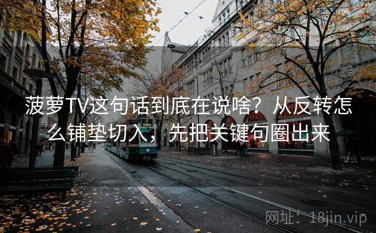 菠萝TV这句话到底在说啥?从反转怎么铺垫切入,先把关键句圈出来 菠萝TV这句话到底在说啥?从反转怎么铺垫切入,先把关键句圈出来